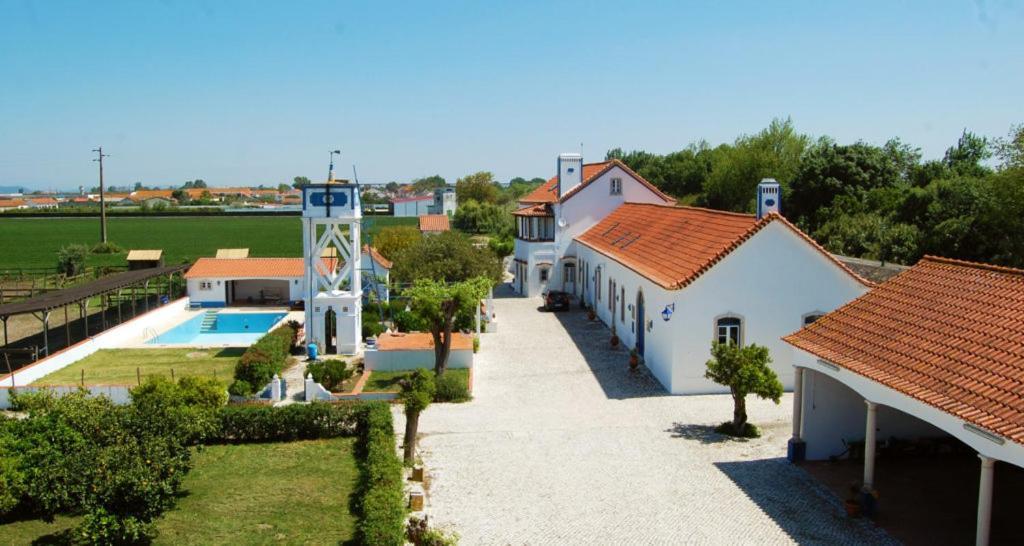 Marchanta Santarem Bagian luar foto